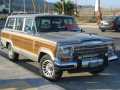 Model Image Wagoneer