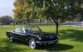 Model Image Mustang