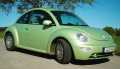 Model Image New Beetle