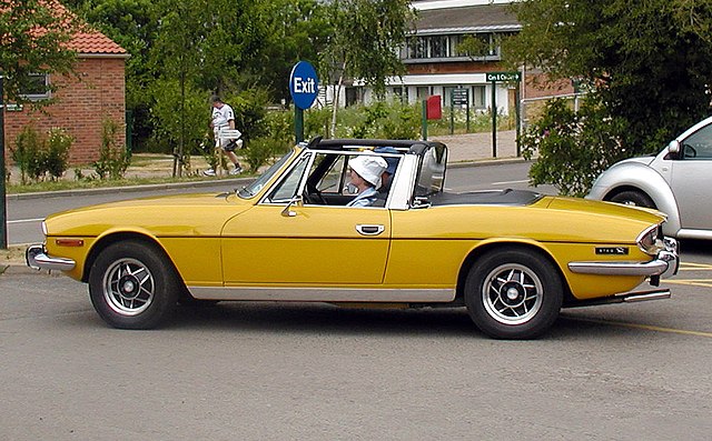Stag