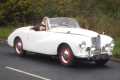 Model Image Alpine
